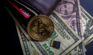 Bitcoin Trader und PayPal